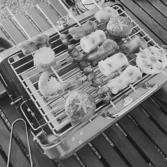 Draagbare houtskoolgrill, van roestvrij staal, picknickgrill, eenvoudig te dragen en te gebruiken, origineel cadeau, cadeaus voor ouders, jachtgroen van Merkloos