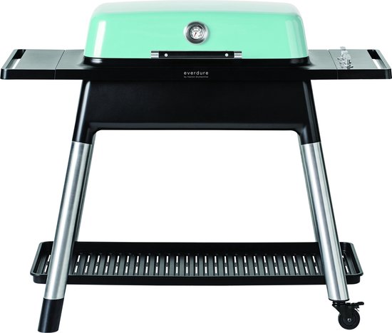 Gasbarbecue Furnace - 30 mbar NL - Mint - Everdure van Everdure
