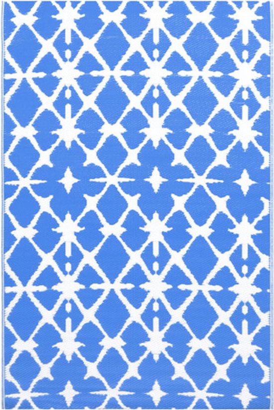 vidaXL - Buitenkleed - 80x150 - cm - PP - blauw - en - wit van vidaXL